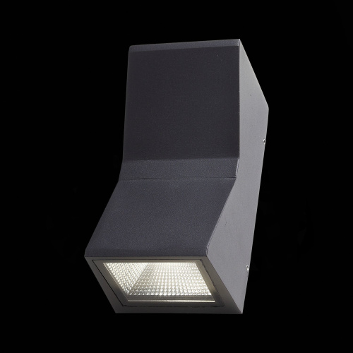 SL088.431.02 Светильник уличный настенный ST-Luce Черный кварцевый LED 2*7W 4000K DEALE фото 2