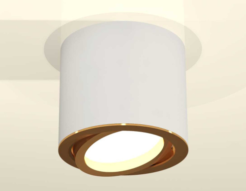 Комплект накладного светильника Ambrella light Techno Spot XS7401004 SWH/PYG белый песок/золото желтое полированное (C7401, N7004) фото 2