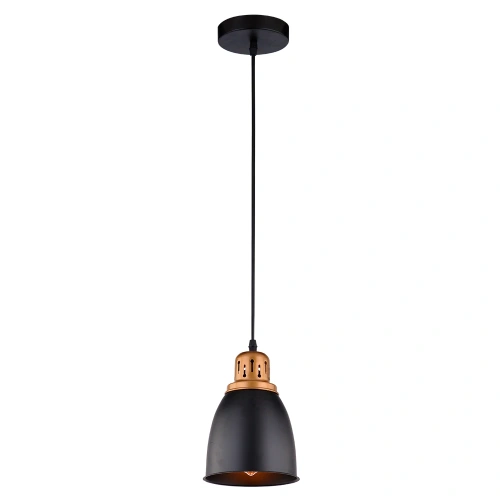 Подвесной светильник Arte Lamp EURICA A4248SP-1BK Подвесной светильник Arte Lamp EURICA A4248SP-1BK