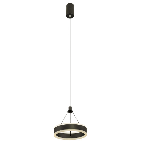 Citilux Дуэт CL719011 LED Подвесной светильник Чёрный фото 3 Citilux Дуэт CL719011 LED Подвесной светильник Чёрный фото 3