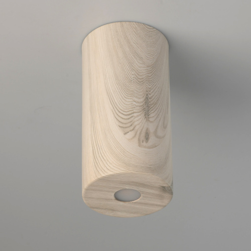 Потолочный светильник DeMarkt Иланг 712010901 фото 4