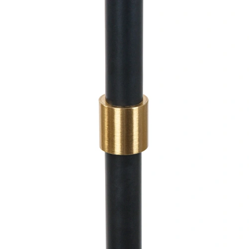 Торшер Arte Lamp JAMIE A4090PN-1BK фото 4
