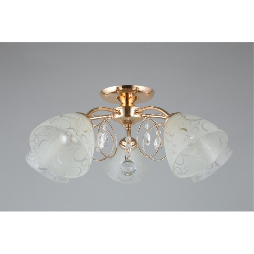 Люстра потолочная OML-29007-05 фото 4 Люстра потолочная OML-29007-05 фото 4