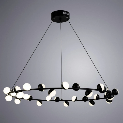 Подвесная люстра Arte Lamp DEXTER A3619SP-30BK фото 2 Подвесная люстра Arte Lamp DEXTER A3619SP-30BK фото 2