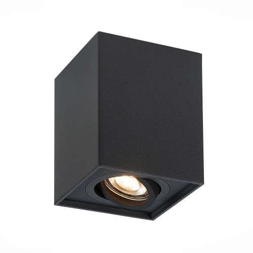 ST109.407.01 Светильник потолочный Черный GU10 1*50W  L100xW100xH123 220V Без ламп Накладные светильники фото 5
