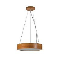 Подвесной светильник Kanlux JASMIN C 370-G/O 36500