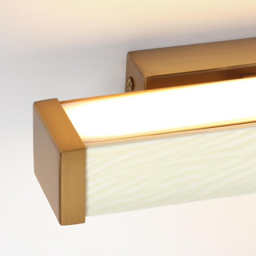 Настенный светильник Odeon Light Riviera L-Vision 5450/10WL фото 6