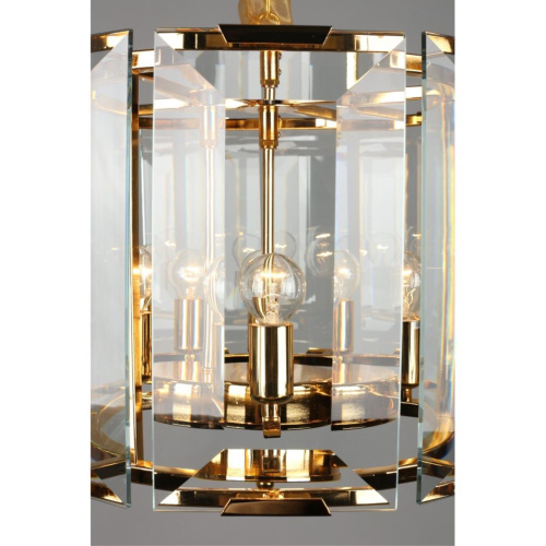 Люстра подвесная OML-81503-06 фото 2