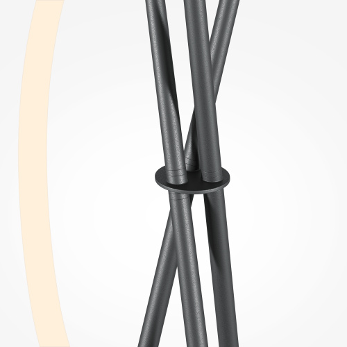 Напольный светильник (торшер) Maytoni MOD369FL-L36B3K фото 2