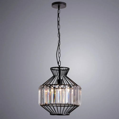 Подвесной светильник Arte Lamp CASSEL A1789SP-1BK фото 2
