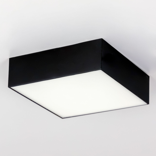 Citilux Тао CL712X122N LED Светильник потолочный с диммером Чёрный фото 18 Citilux Тао CL712X122N LED Светильник потолочный с диммером Чёрный фото 18