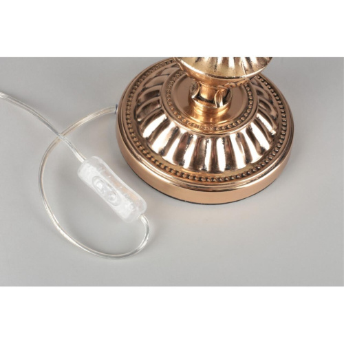 Настольная лампа OML-75404-01 фото 5 Настольная лампа OML-75404-01 фото 5