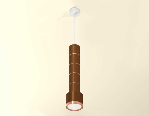 Комплект подвесного светильника Ambrella light Techno Spot XP (A2301, A2063х4, C6304х5, A2101, C8117, N8126) XP8117001 фото 2