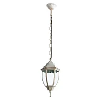 Уличный подвесной светильник Arte Lamp PEGASUS A3151SO-1WG