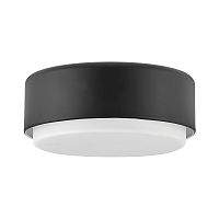 Потолочный светильник Hinkley, Арт. HK-CEDRIC-F-S-BK