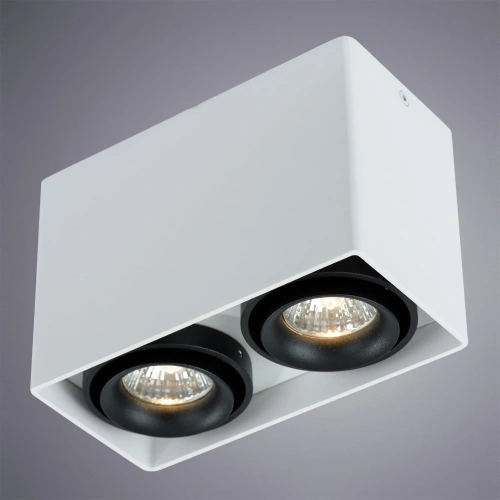 Точечный накладной светильник Arte Lamp PICTOR A5655PL-2WH фото 2 Точечный накладной светильник Arte Lamp PICTOR A5655PL-2WH фото 2