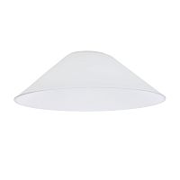 Citilux Эдисон CL450.12 Плафон