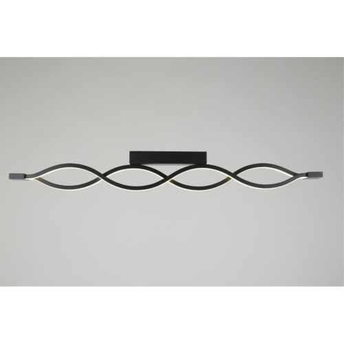 Светильник настенно-потолочный APL.002.12.36 фото 3