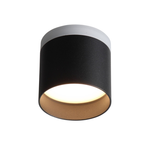ST102.402.12 Светильник потолочный Черный LED 1*12W 3000K 936Lm Ra>80 120° IP20 D100xH90 170-240V Накладные светильники фото 5