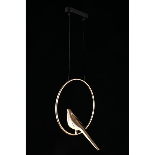 Светильник подвесной APL.822.06.10 фото 12 Светильник подвесной APL.822.06.10 фото 12