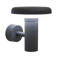 Citilux GARDA CLU01W LED Уличный настенный светильник Графит