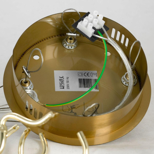 Подвесная люстра Lussole Adams LSP-8606 фото 5