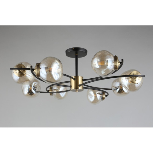 Люстра потолочная OML-95307-08 фото 10 Люстра потолочная OML-95307-08 фото 10