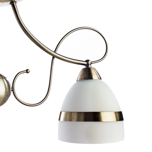 Потолочная люстра Arte Lamp NOEMI A6192PL-3AB фото 4