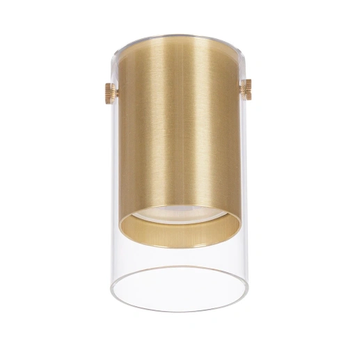 Точечный накладной светильник Arte Lamp LAZIO A5365PL-1SG фото 2 Точечный накладной светильник Arte Lamp LAZIO A5365PL-1SG фото 2