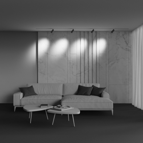 Трековый светильник Technical TR212-4-12WTW-DD2-Z-B фото 7