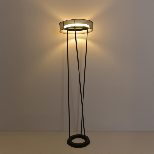 Торшер Lumion Alva Ledio 8370/30FL фото 4