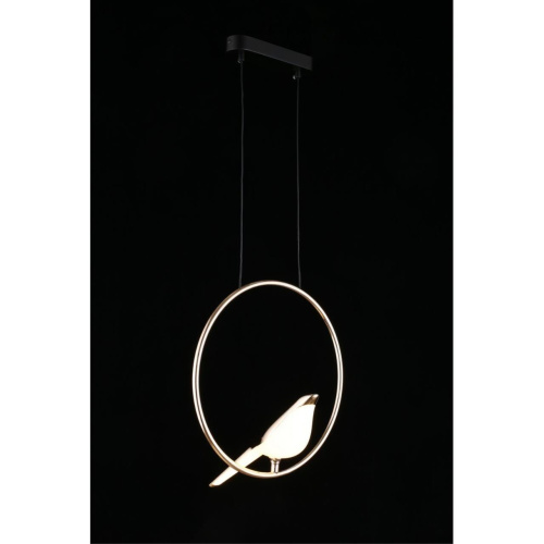 Светильник подвесной APL.822.06.10 фото 10 Светильник подвесной APL.822.06.10 фото 10