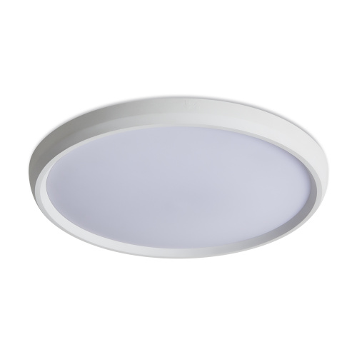 Потолочный светильник Freya FR6211CL-L24W фото 12