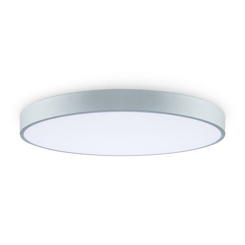 Потолочный светильник Freya FR6129CL-L80GR фото 8