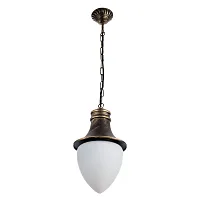 Уличный подвесной светильник Arte Lamp VIENNA A1317SO-1BN