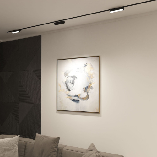 Светильник на шине Denkirs SMART LINEAR | СМАРТ ЛИНЕАР DK8009-BK фото 6 Светильник на шине Denkirs SMART LINEAR | СМАРТ ЛИНЕАР DK8009-BK фото 6