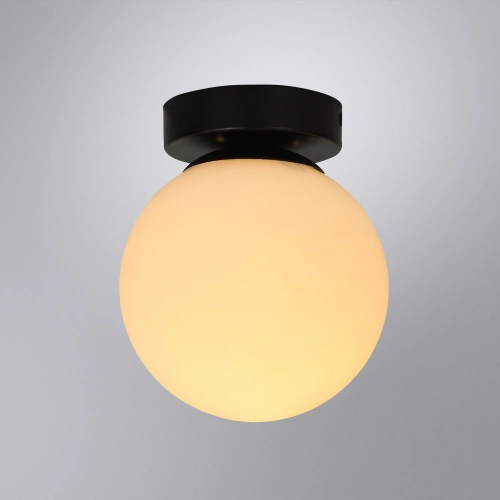 Настенно-потолочный светильник Arte Lamp ALCOR A2224PL-1BK фото 2