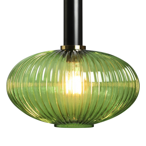 2072-C+BL Подвесной светильник LOFT IT Iris фото 2