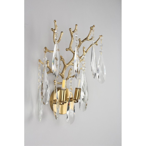 Светильник настенный (Бра) OML-52901-02 фото 7 Светильник настенный (Бра) OML-52901-02 фото 7