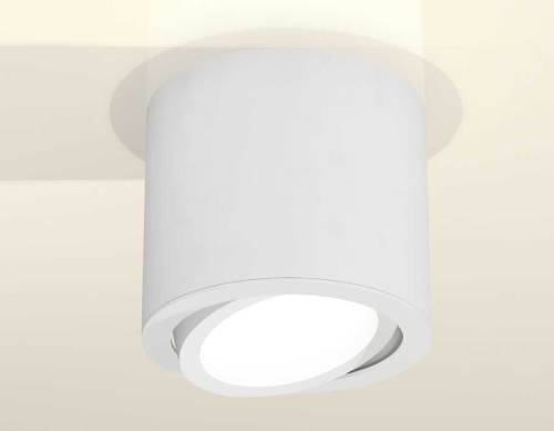 Комплект накладного светильника Ambrella light Techno Spot XS7401001 SWH белый песок (C7401, N7001) фото 3