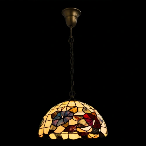 Подвесная люстра Arte Lamp TIFFANY A3165SP-1BG фото 2