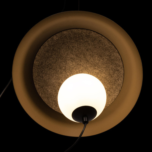 10237P Black Подвесной светильник LOFT IT Wonders фото 6 10237P Black Подвесной светильник LOFT IT Wonders фото 6