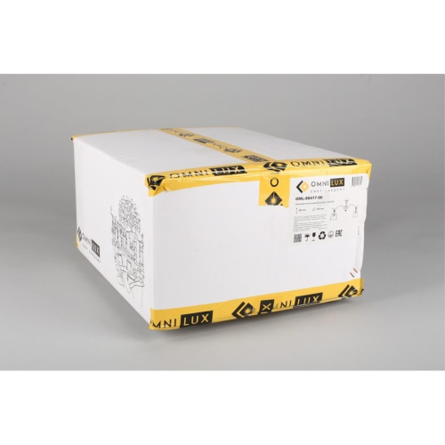 Люстра потолочная OML-88417-06 фото 4 Люстра потолочная OML-88417-06 фото 4