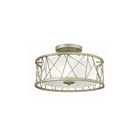 Потолочный светильник Hinkley Lighting, Арт. HK-NEST-SF-SL