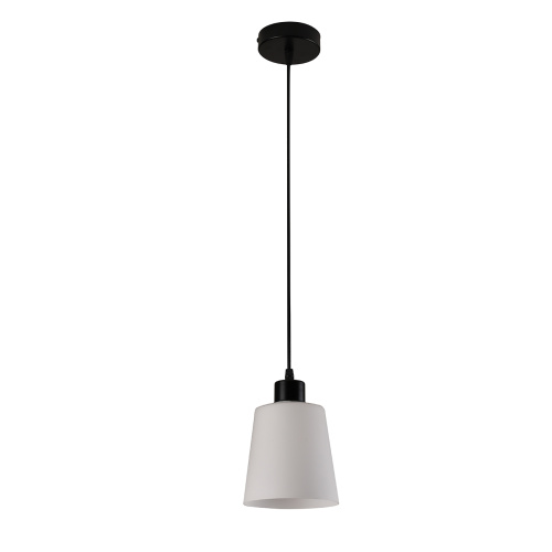 Подвесной светильник 120004/1P E27*60W Black фото 2