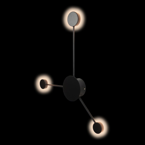 10059BK Настенный светильник LOFT IT Rays фото 5