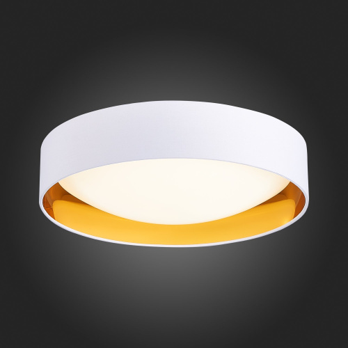 SLE201122-01 Светильник потолочный Белый, Золотистый/Белый LED 1*24W 4000K ORBIO фото 7