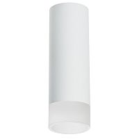 R48631 Светильник RULLO HP16 (214486+202431)
