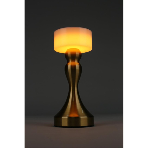 Настольная лампа OML-40304-01 фото 10