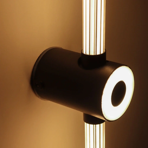 Декоративная подсветка Arte Lamp ATMOS A3616AL-1BK фото 4